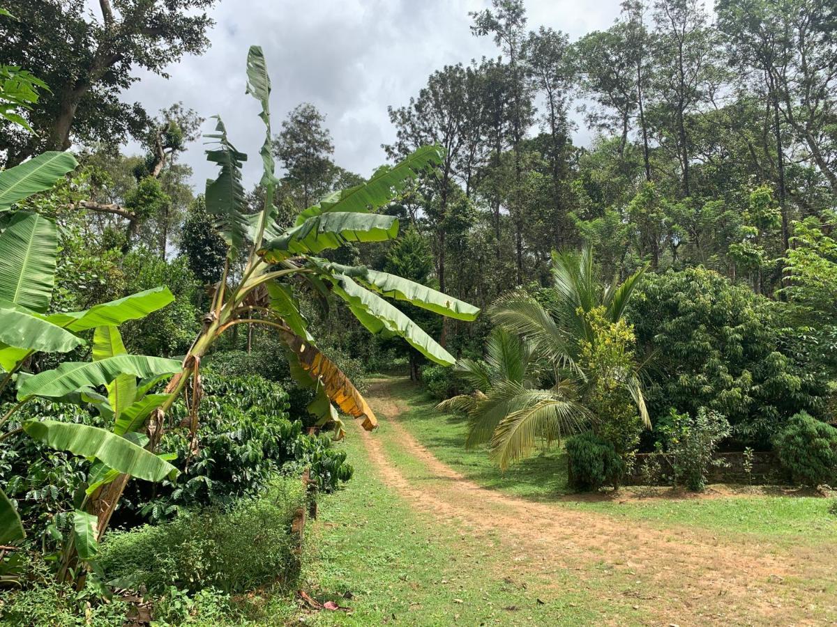מדיקרי Sandev Homestay מראה חיצוני תמונה