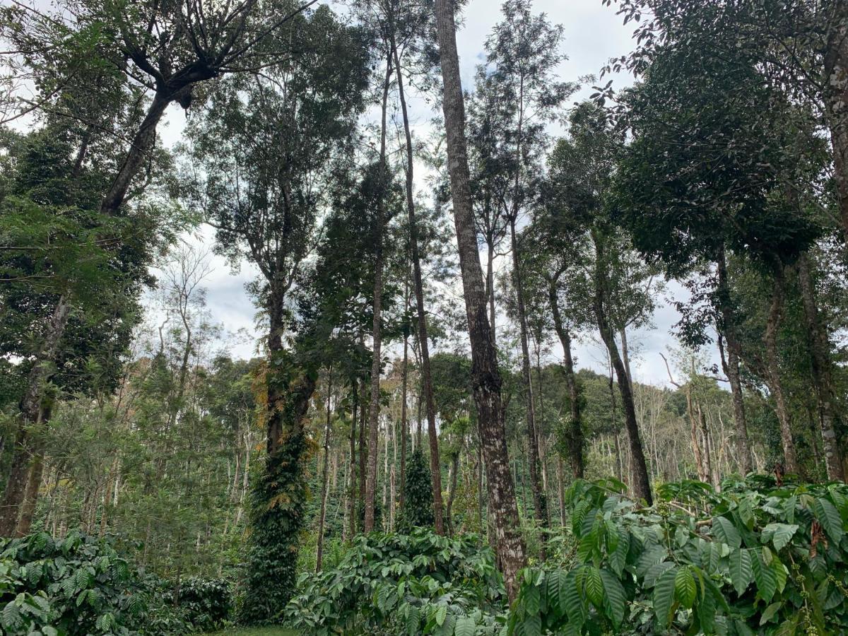 מדיקרי Sandev Homestay מראה חיצוני תמונה