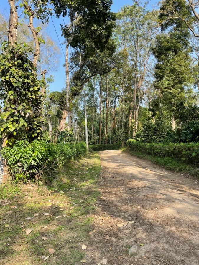מדיקרי Sandev Homestay מראה חיצוני תמונה