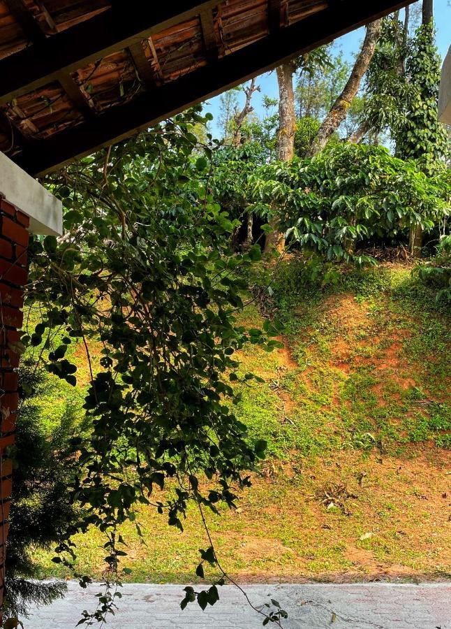 מדיקרי Sandev Homestay מראה חיצוני תמונה